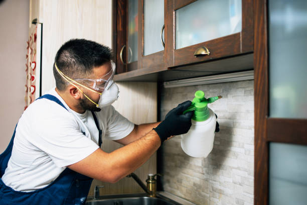 Best Best Pest Control Companies  in Russell, PA