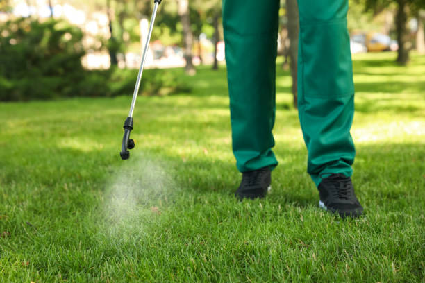 Professional Pest Control in Russell, PA