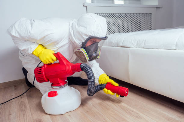 Best Local Pest Control Services  in Russell, PA