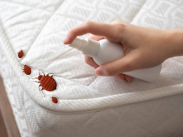 Best Best Pest Control Companies  in Russell, PA