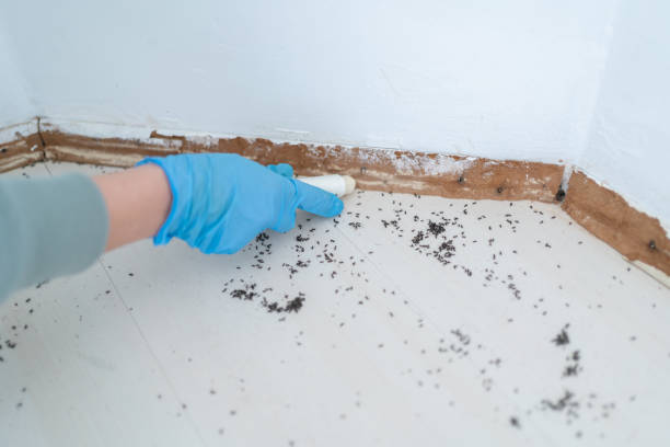 Best Pest Control Near Me  in Russell, PA